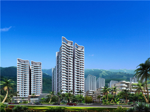 香多滋鲍汁焖鸡