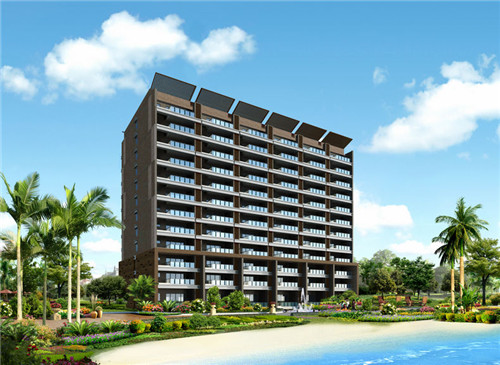 鱼头大大鱼头泡饭