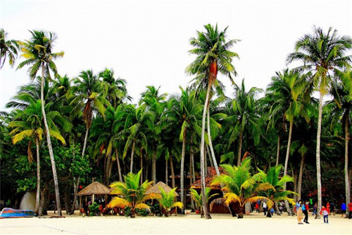 加盟江上渔夫存在骗局吗，如何获取江上渔夫加盟电话