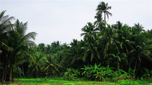 小县城投资什么店创业好，适合小县城的投资项目