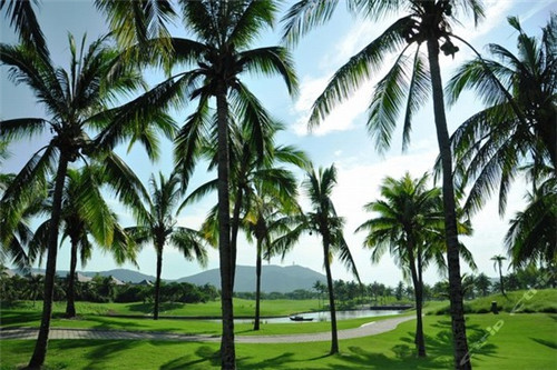 火锅店创意设计，火锅店设计案例文案简短