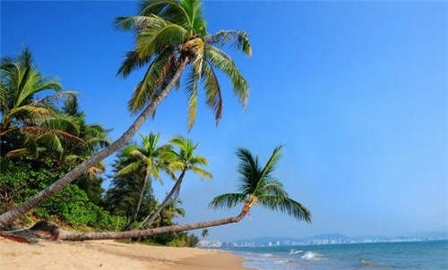 少儿模特品牌加盟费多少