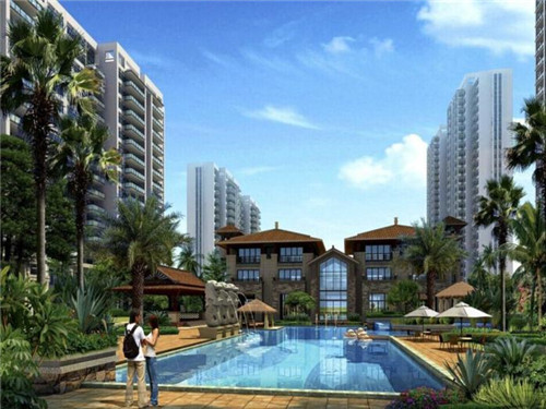 中卫市创业2025磨牙棒加盟店哪家项目比较火爆