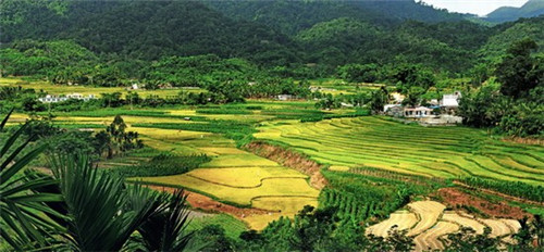 idler是什么意思（idler是什么意思啊）