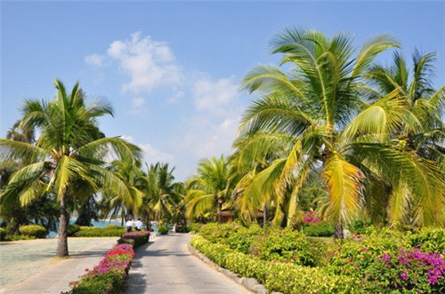 两侧拉链护理裤（两侧拉链运动裤）