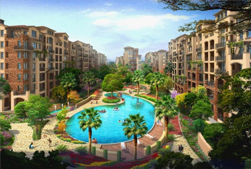 鸡翅尖炒酱油怎么炒（酱鸡翅尖图片）