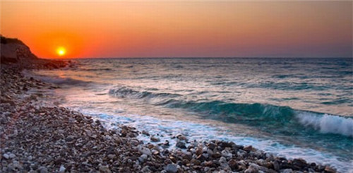 鲨鱼衣服加盟费多少，鲨鱼品牌服饰